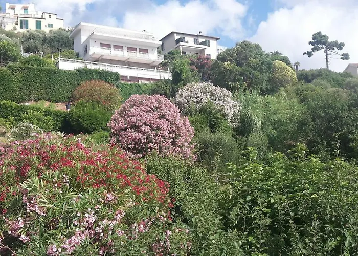 Via Dei Ginepri * Noli